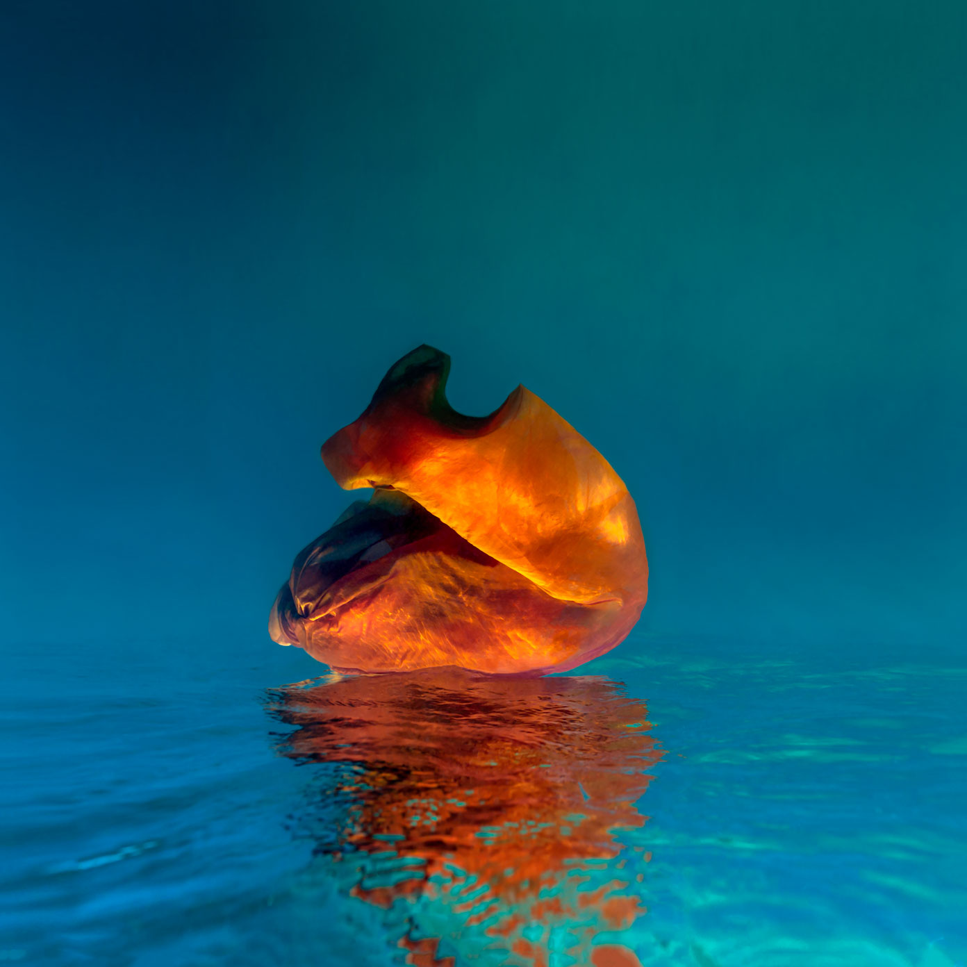 Harmony Underwater Form Series by Maya Almeida