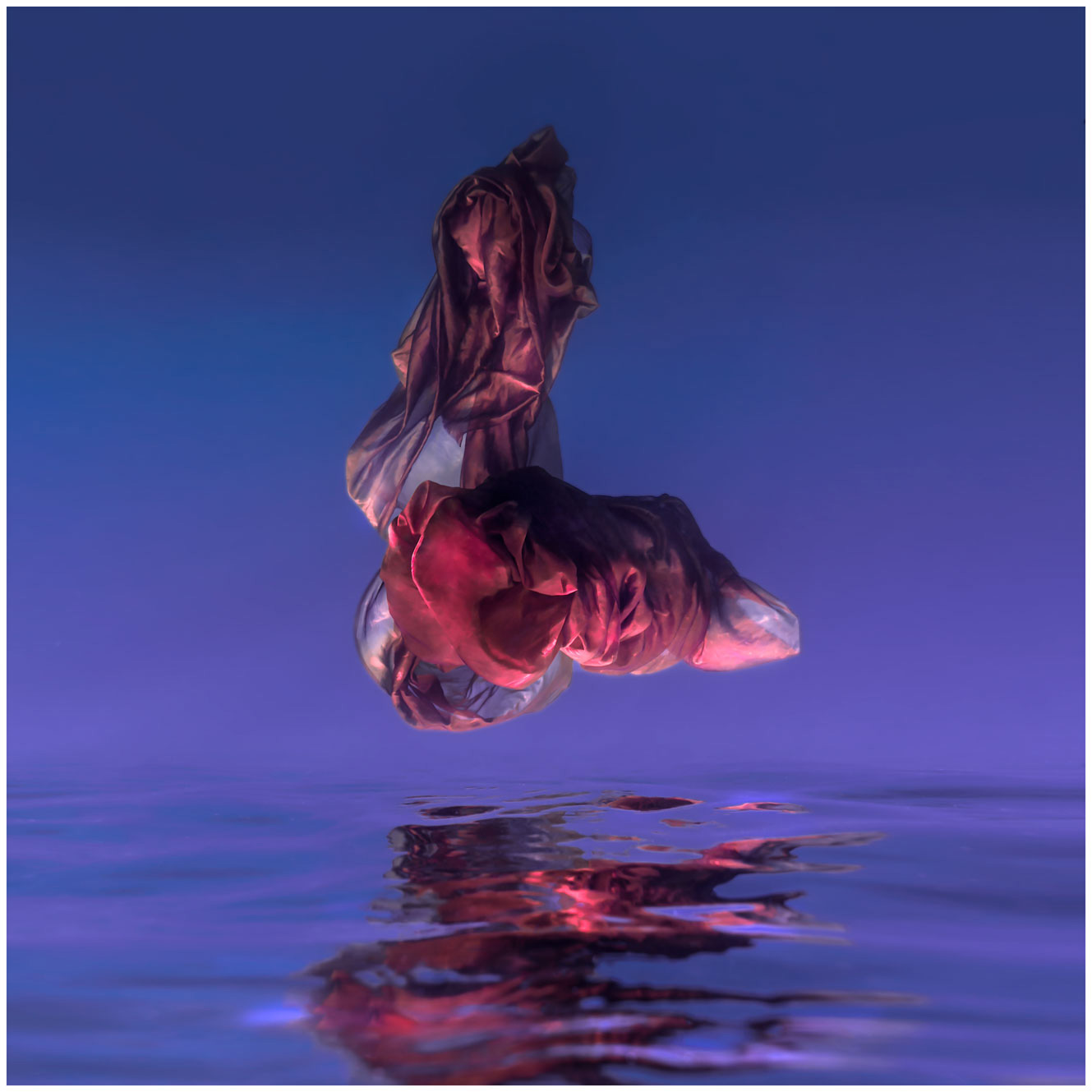 Phallus Underwater Form Series by Maya Almeida