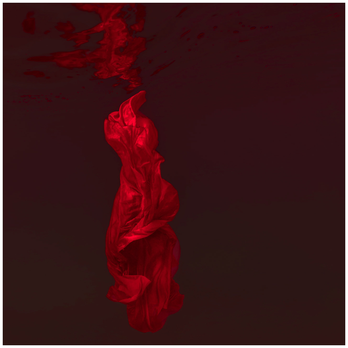 Red Dress Underwater Form Series by Maya Almeida