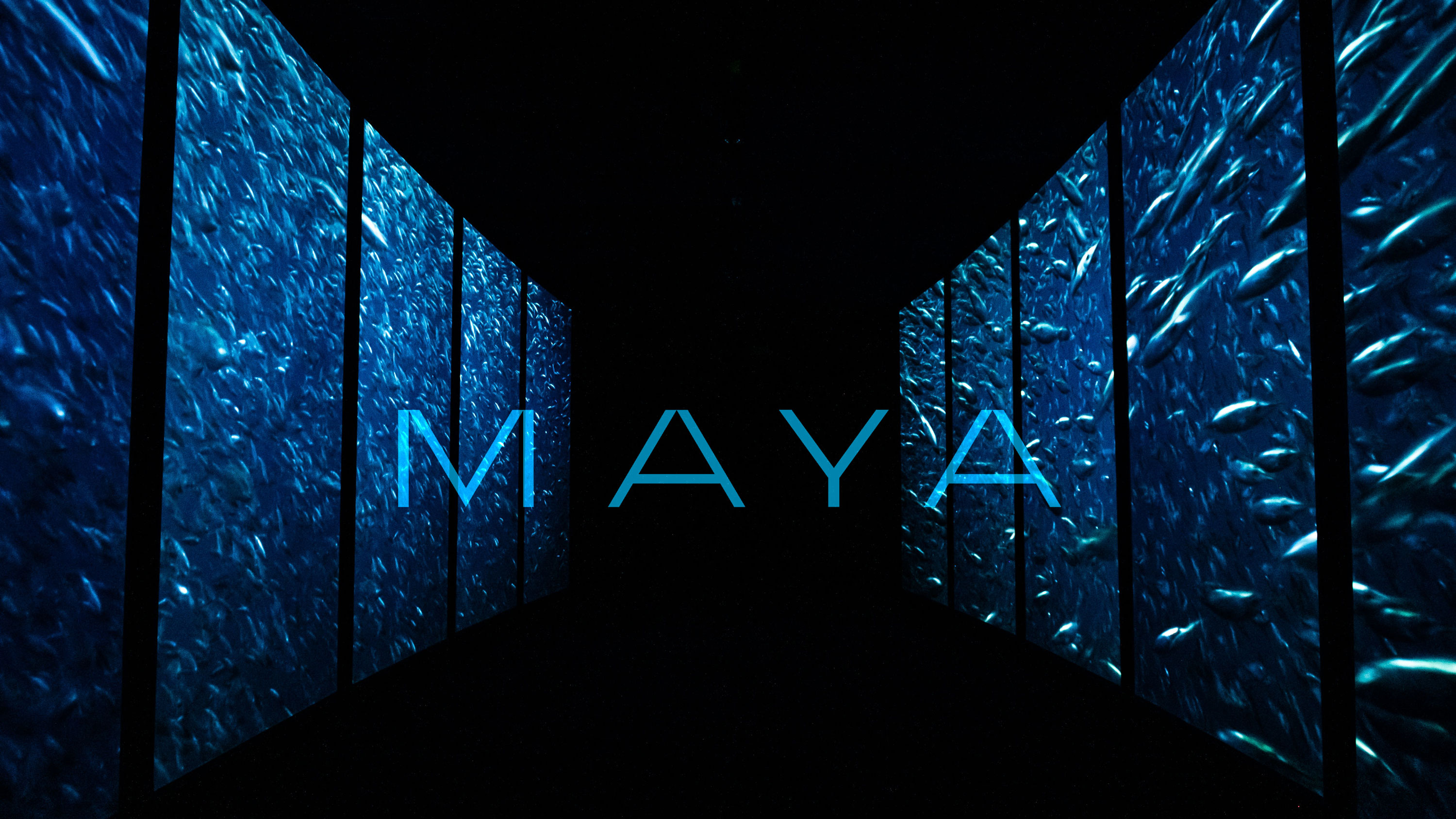 Underwater Visual Art Installation-by-Maya